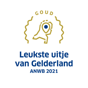 Logo ANWB goud 2021