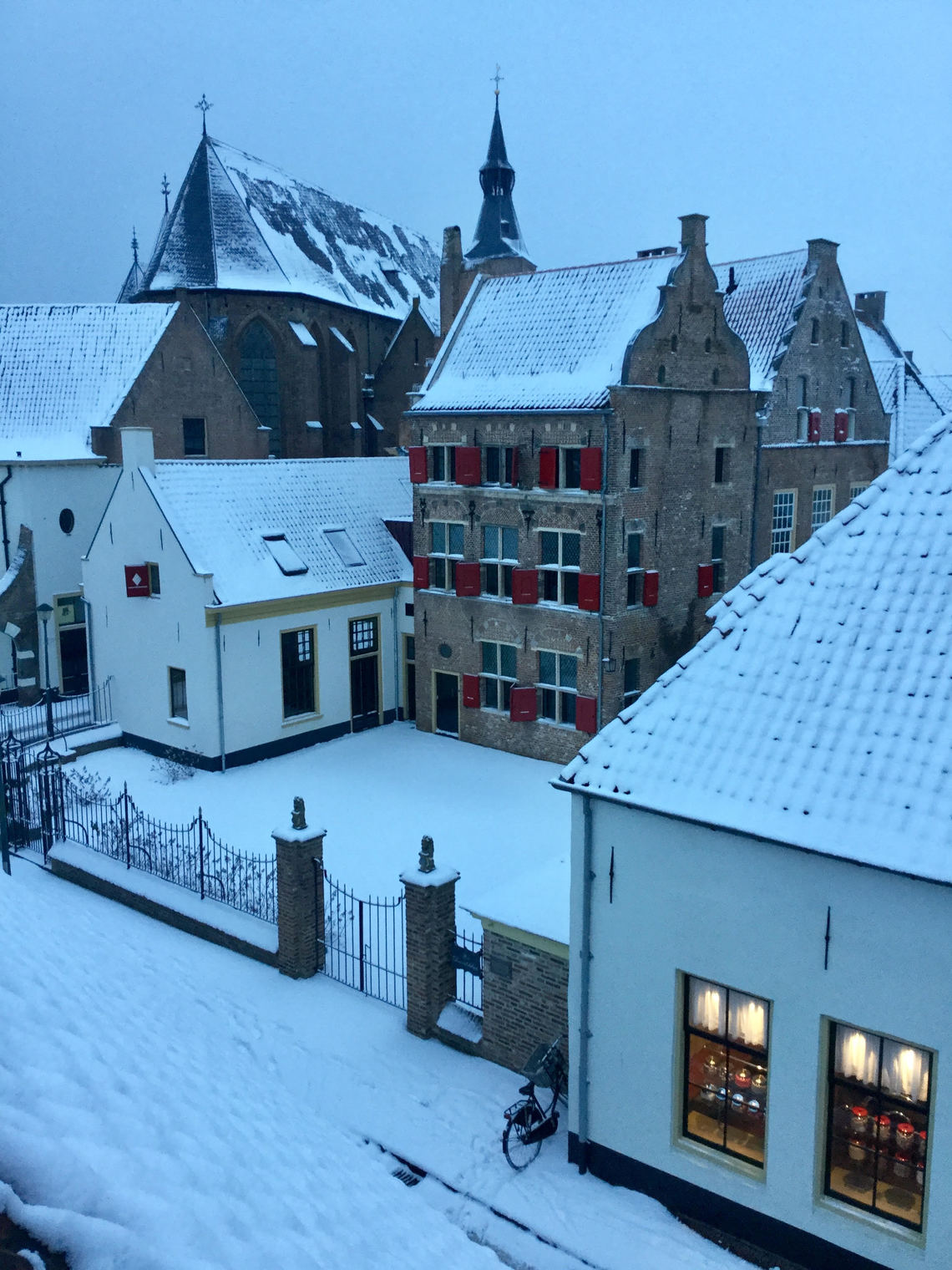 Dhuis in de sneeuw